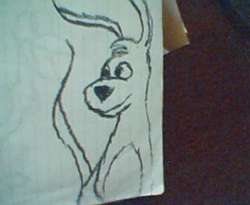 Gelert Quick Draw