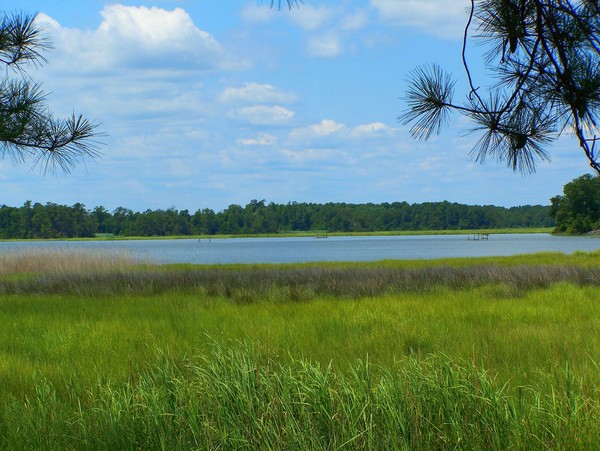 College Creek Williamsburg, Virginia