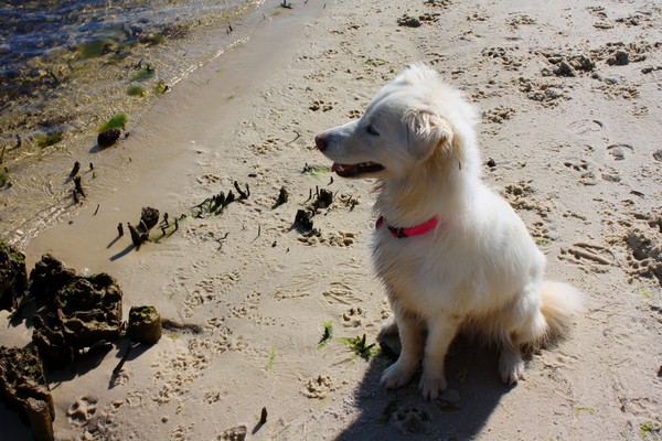 Jade on the Beach