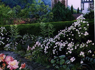Shropshire Garden