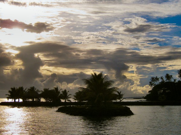 The Weaving Fale