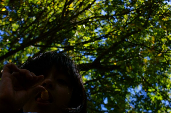Bug View