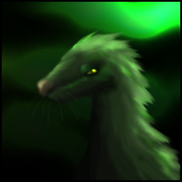 Doonys - Drydim V2