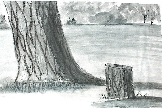 Gray Trees