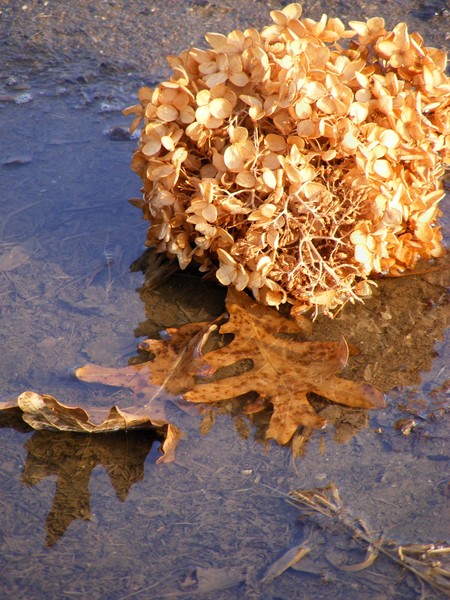 After Winter