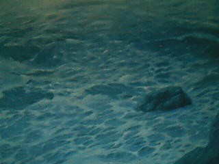 Into the Night