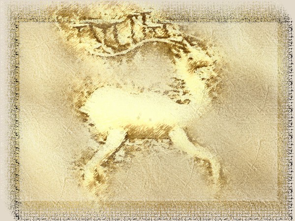 deer