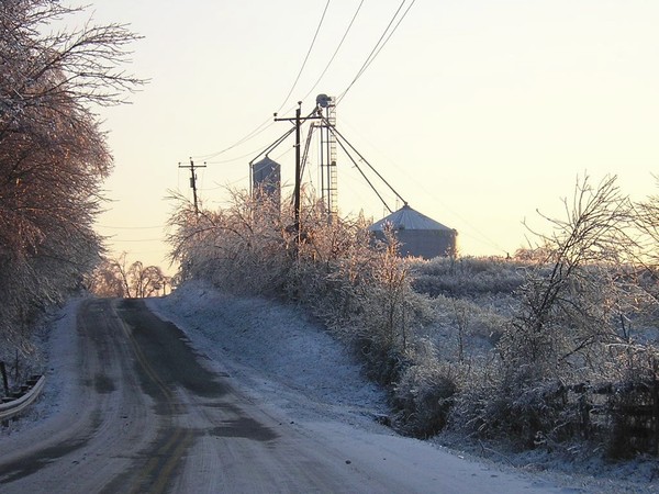The Farm