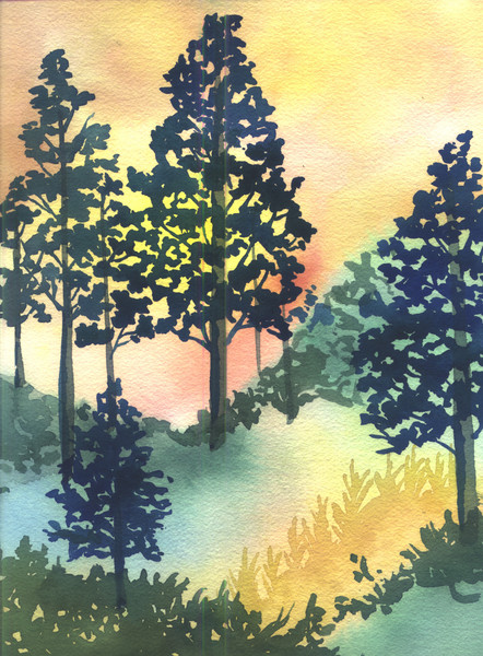 Evening trees