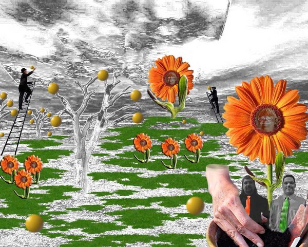 Sewing the Seeds of Knowledge