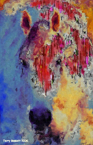 Horse 9