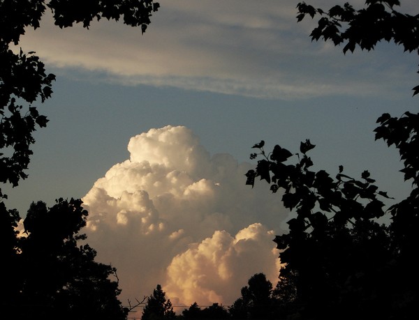 Cloud View BD