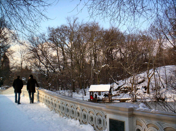 Walking a Contemplative Road