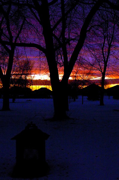 Winter Sunset