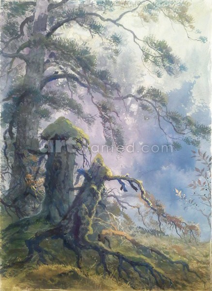 In the forest
