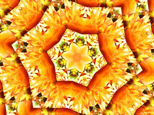 Orange Lily Kalidiscope