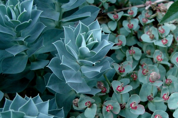 Shades of Blue