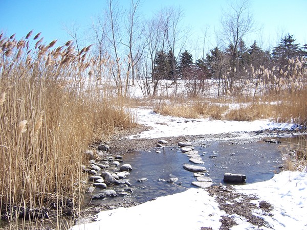 The first day of spring