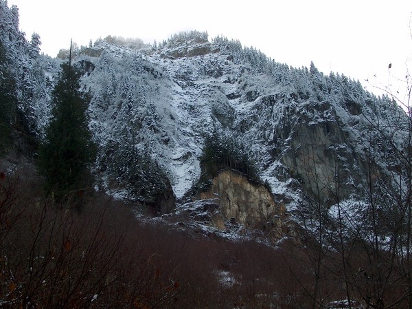Want a Slice of Mountain???