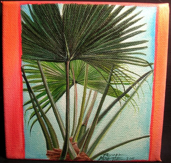 Keep a Heart in the Palm