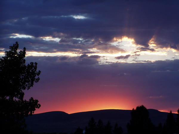 Later That evening