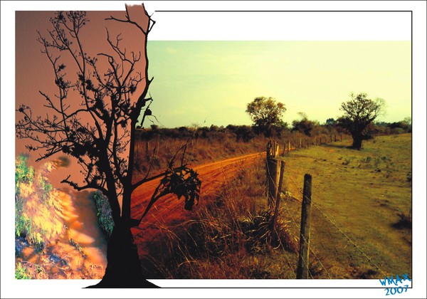 CURVE OF THE WAY