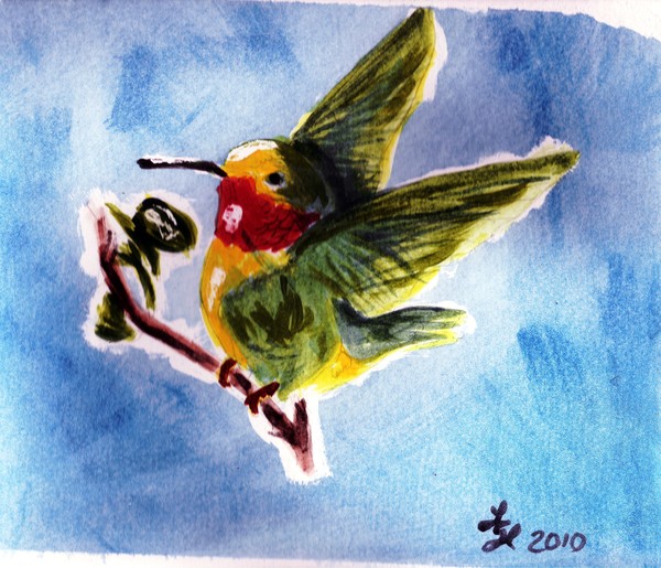 Hummingbird