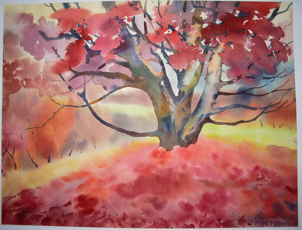 Leaf Fall