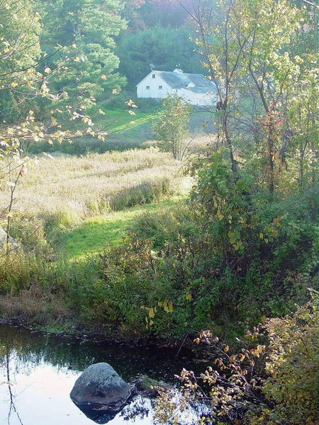 Old Cook Farm