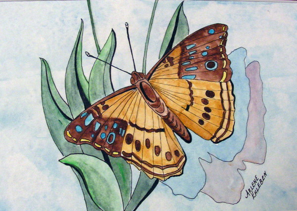 The Butterfly 