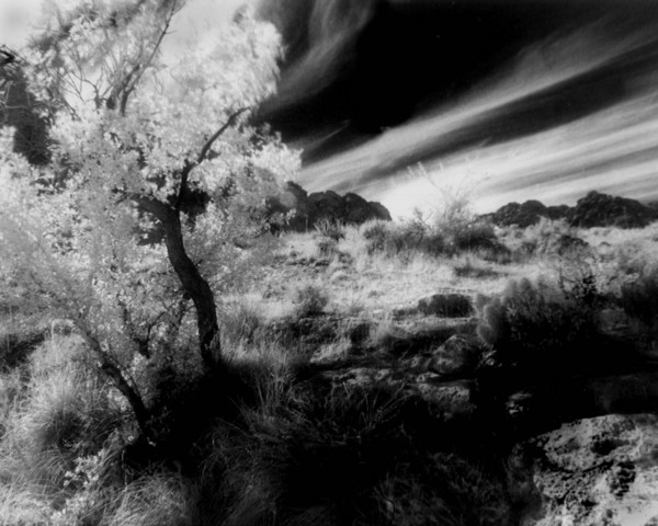 Black and White Sky