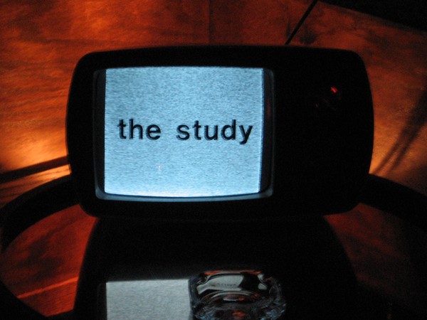 The Study