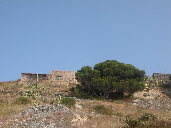 Spain 2004
