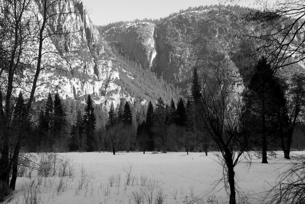 The Valley Floor