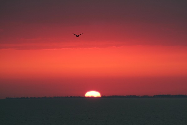 Solo Flight