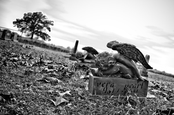  Cemetery #1