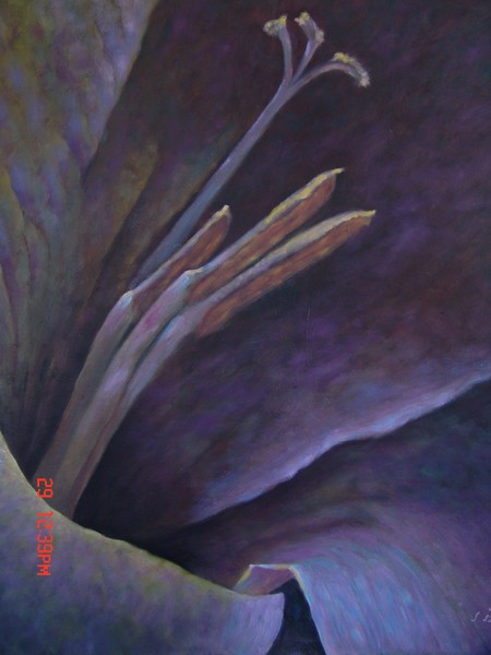 lilac flower