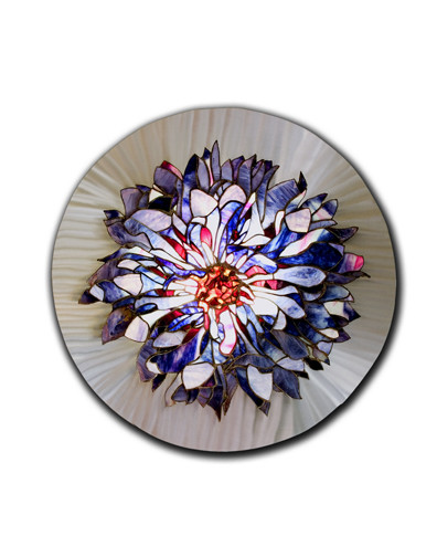 Cornflower