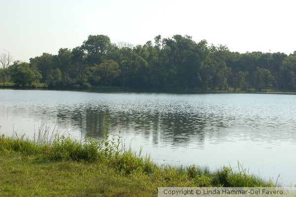 Early Morning Quiet on Wampum Lake