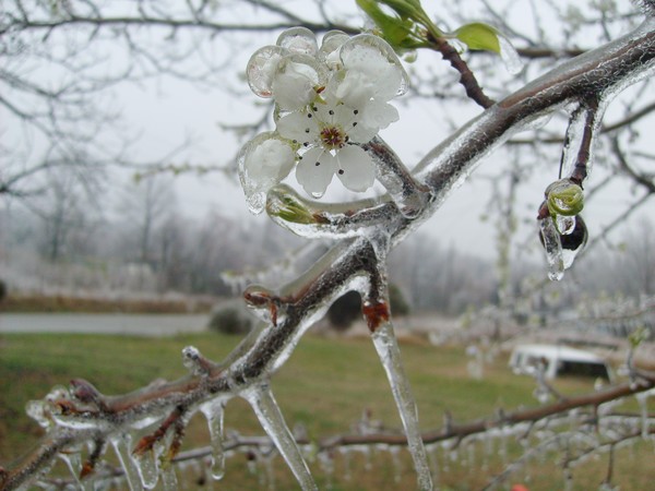 What Happened to Spring?