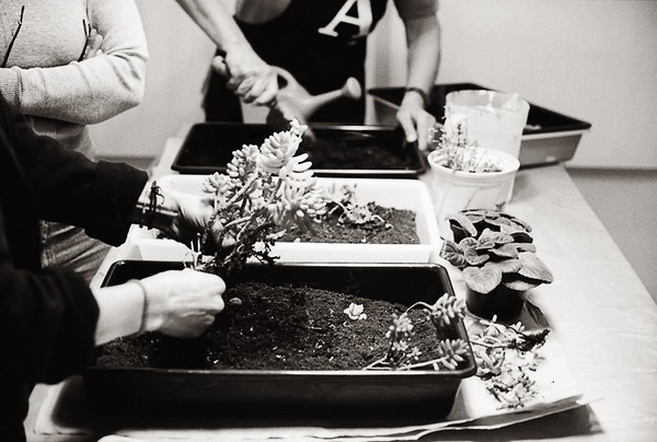 Transportable Gardens