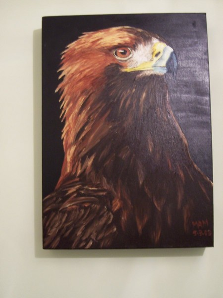 Golden Eagle
