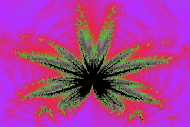 W Leaf Rotation