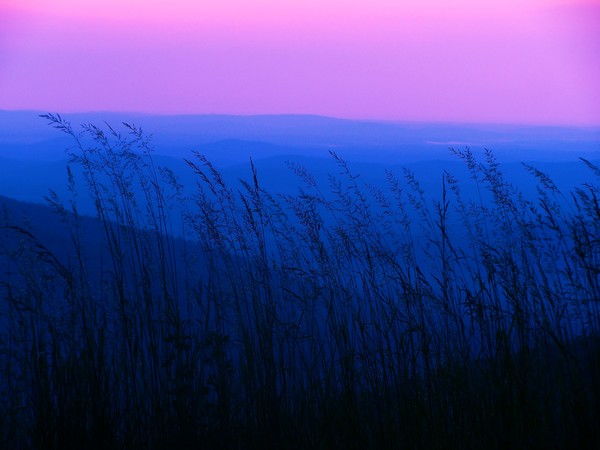 Blue Ridge breeze