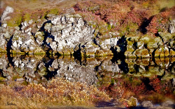 Reflection of autumn colors !