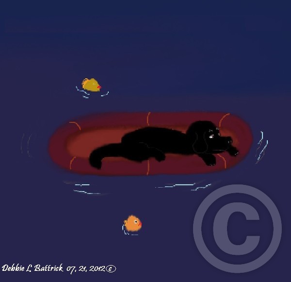 LOST PUPPY AT SEA!!!