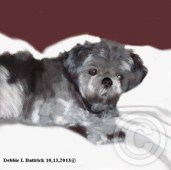 Sharon's Dog