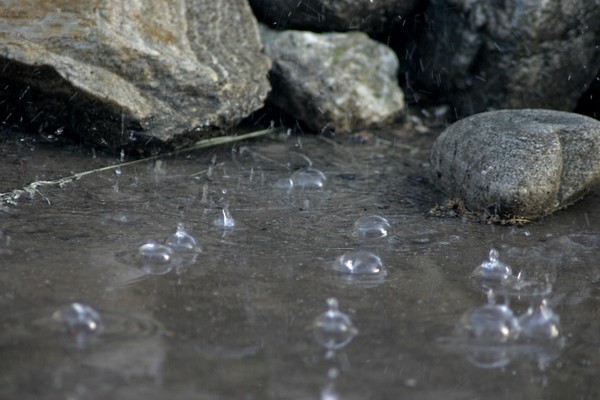 Rain Bubbles