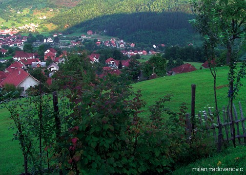 Leko's farm