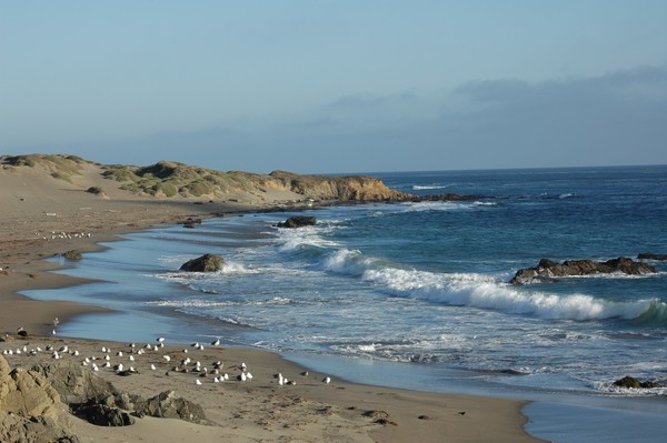 Ocean